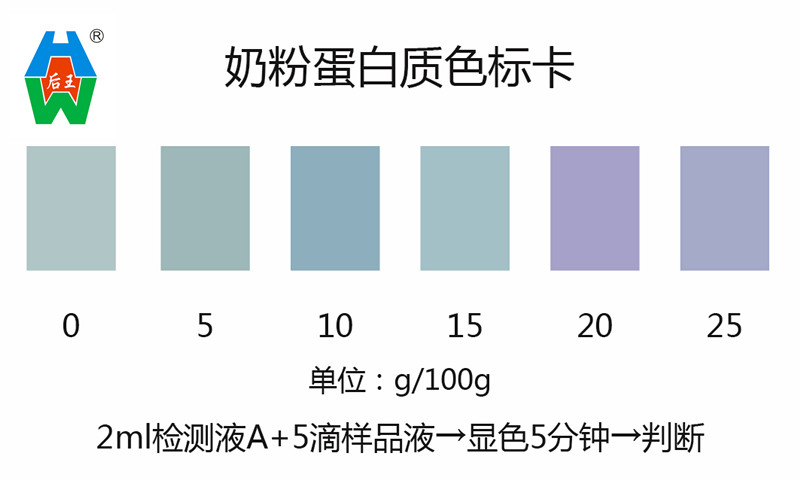 蛋白质试剂盒