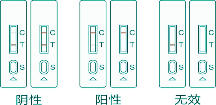 肉眼直接判读结果